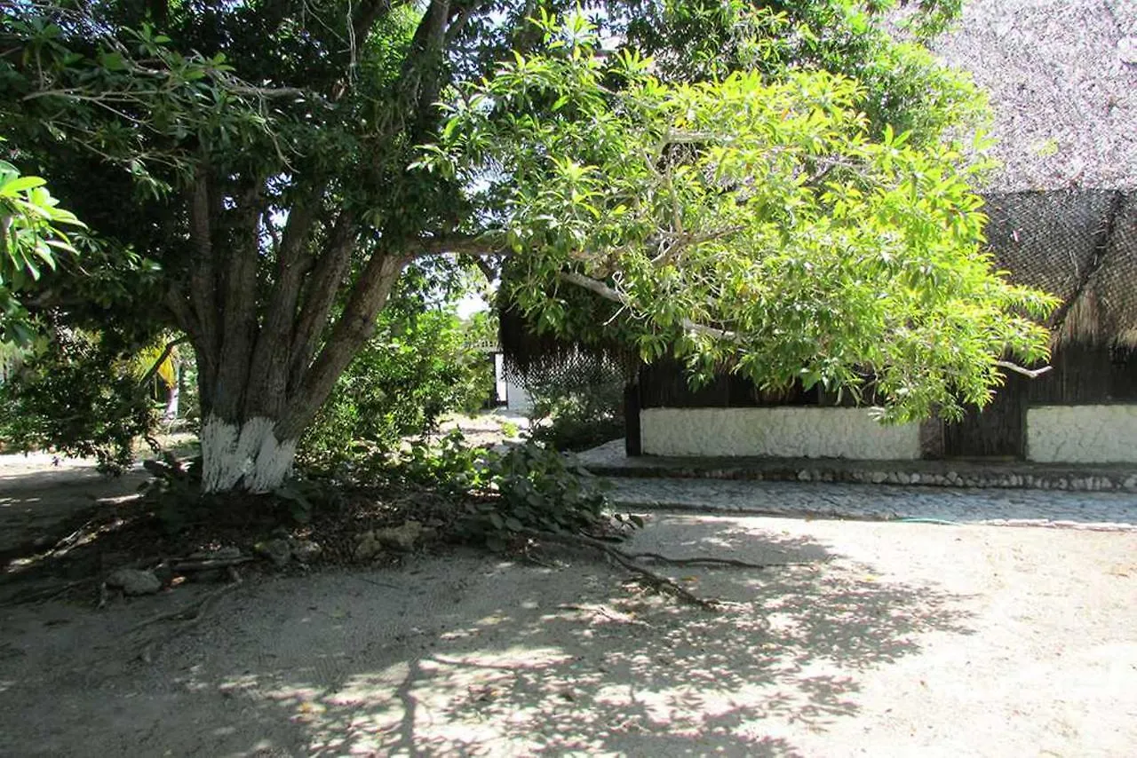 Isla Madre Selva Hotel Cartagena Colombia