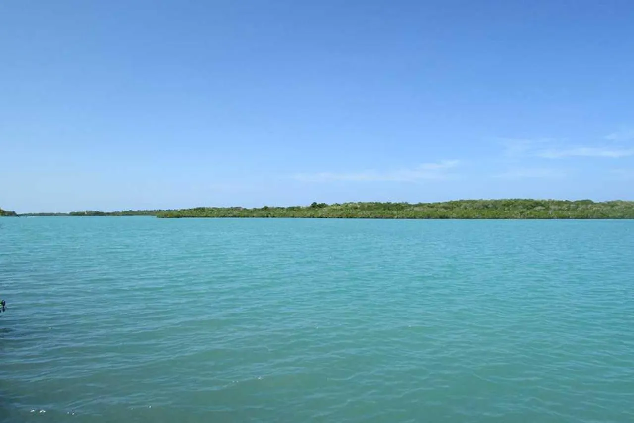 Isla Madre Selva Hotel Cartagena 0*,  Colombia